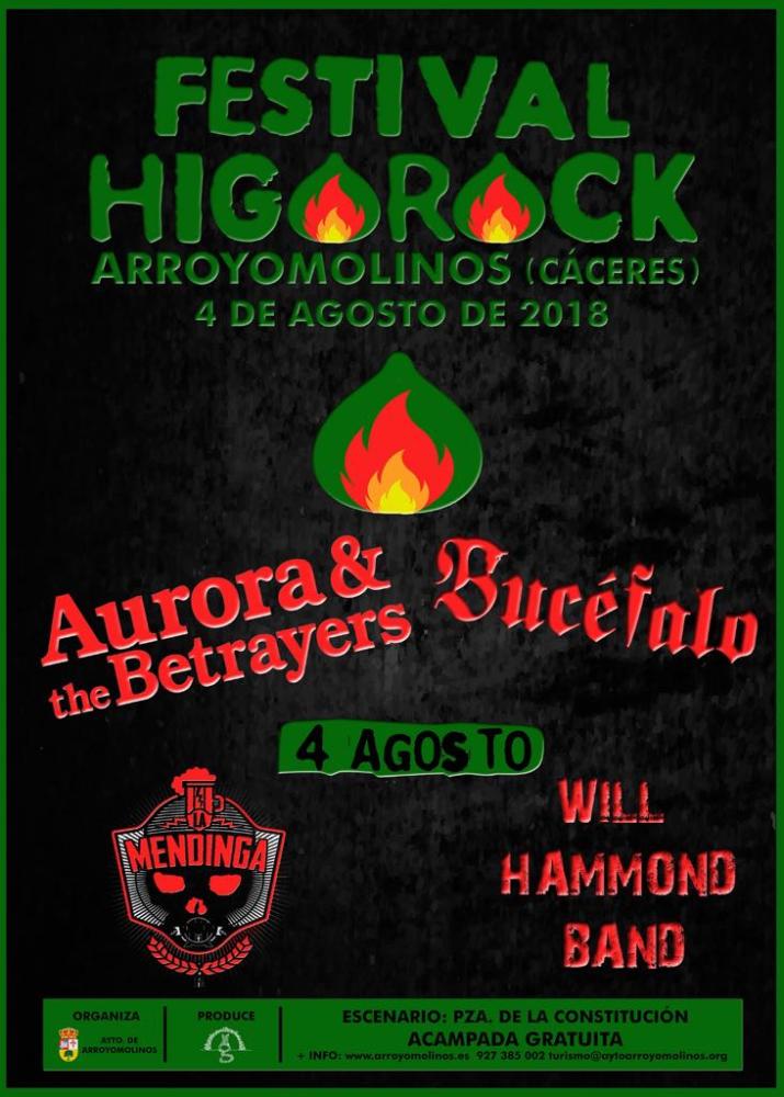 Imagen FESTIVAL HIGOROCK 2018